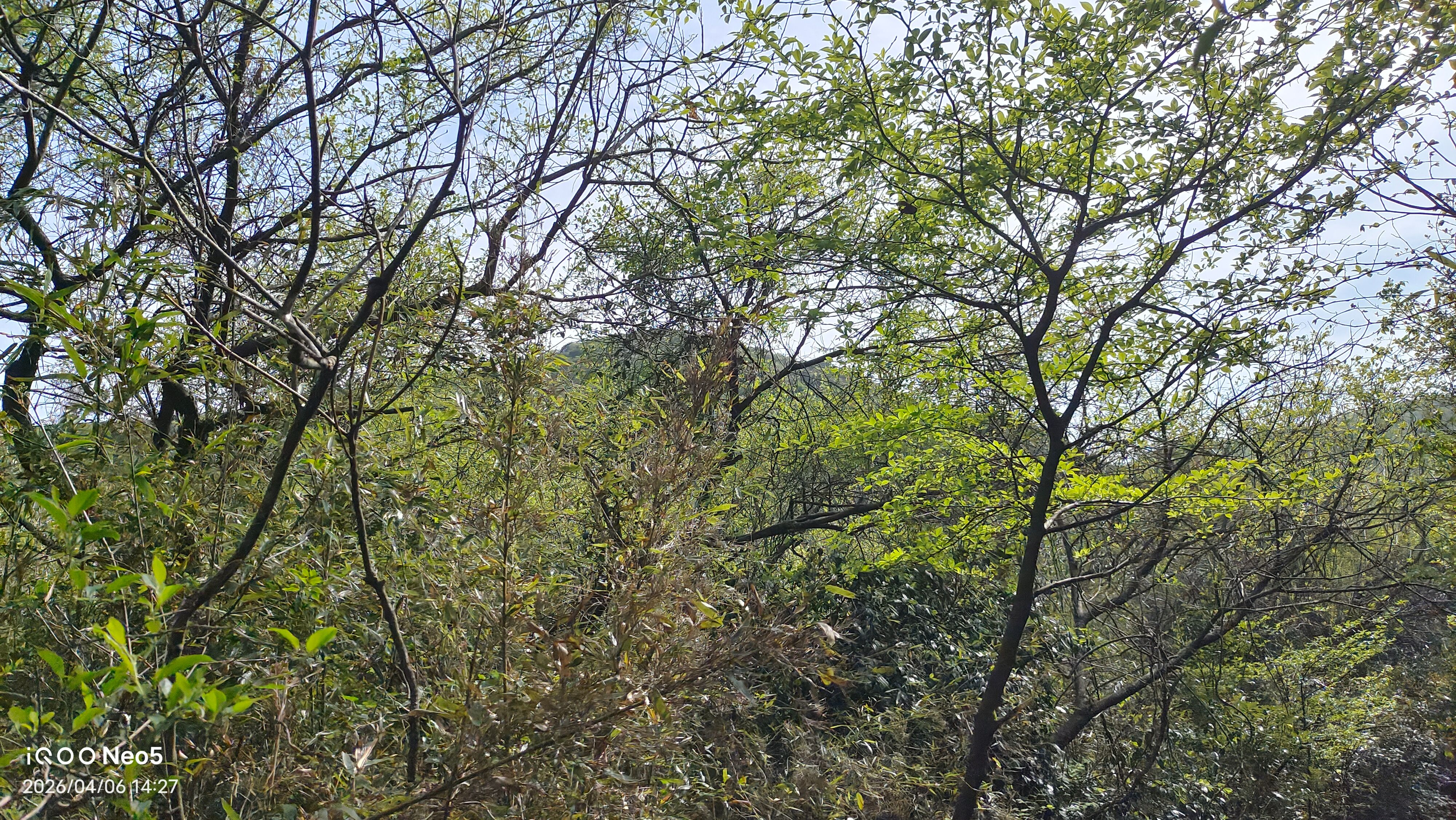 跑山,旅行,假期,生活,湖州