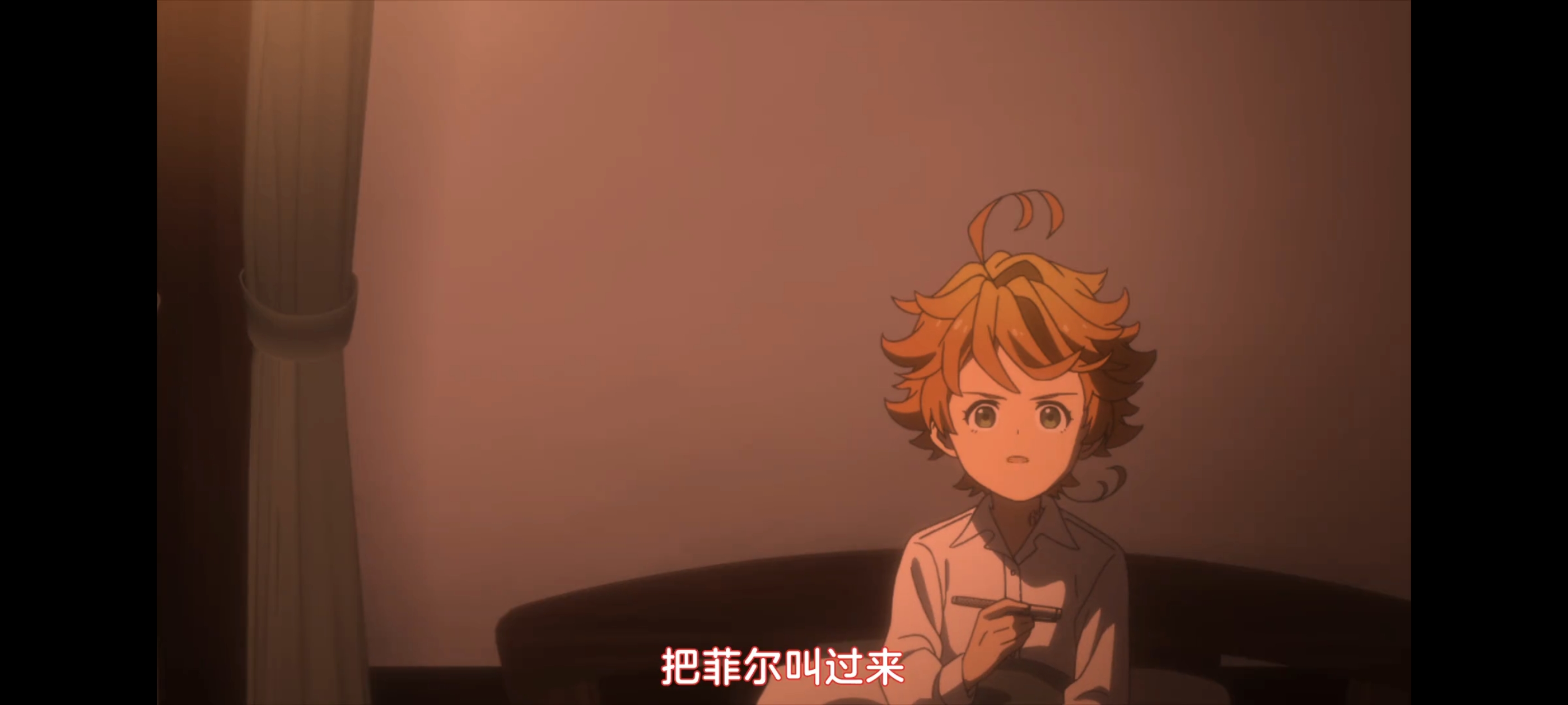 约定的梦幻岛,动画,动漫,番剧,二次元,ACG