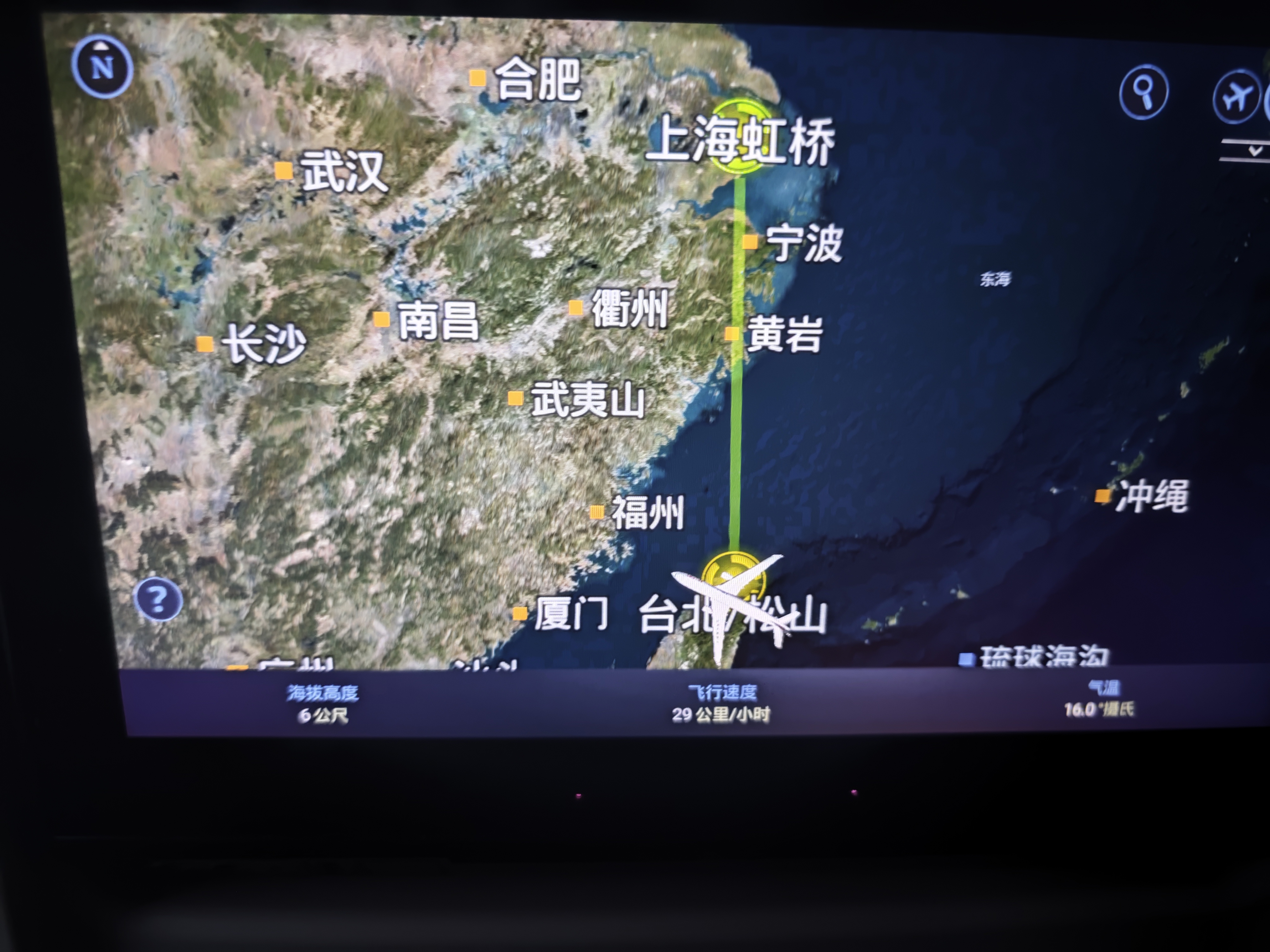 惑鹿,鹿日常,新年快乐