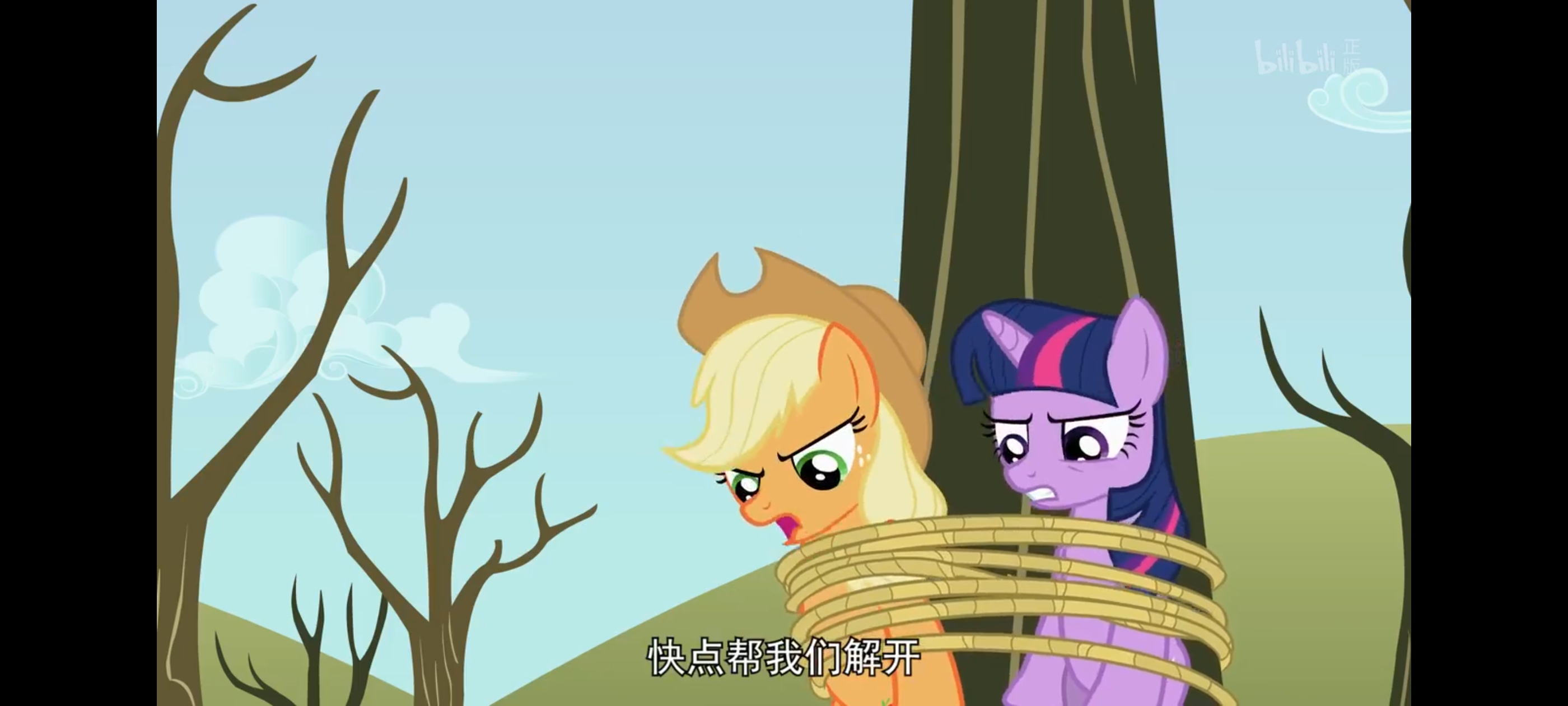 小马宝莉,彩虹小马,我的小马驹,动画,动漫,番剧,二次元,ACG