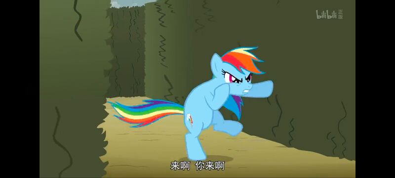 小马宝莉,小马宝莉友谊魔法,彩虹小马,我的小马驹,动画,动漫,番剧,ACG