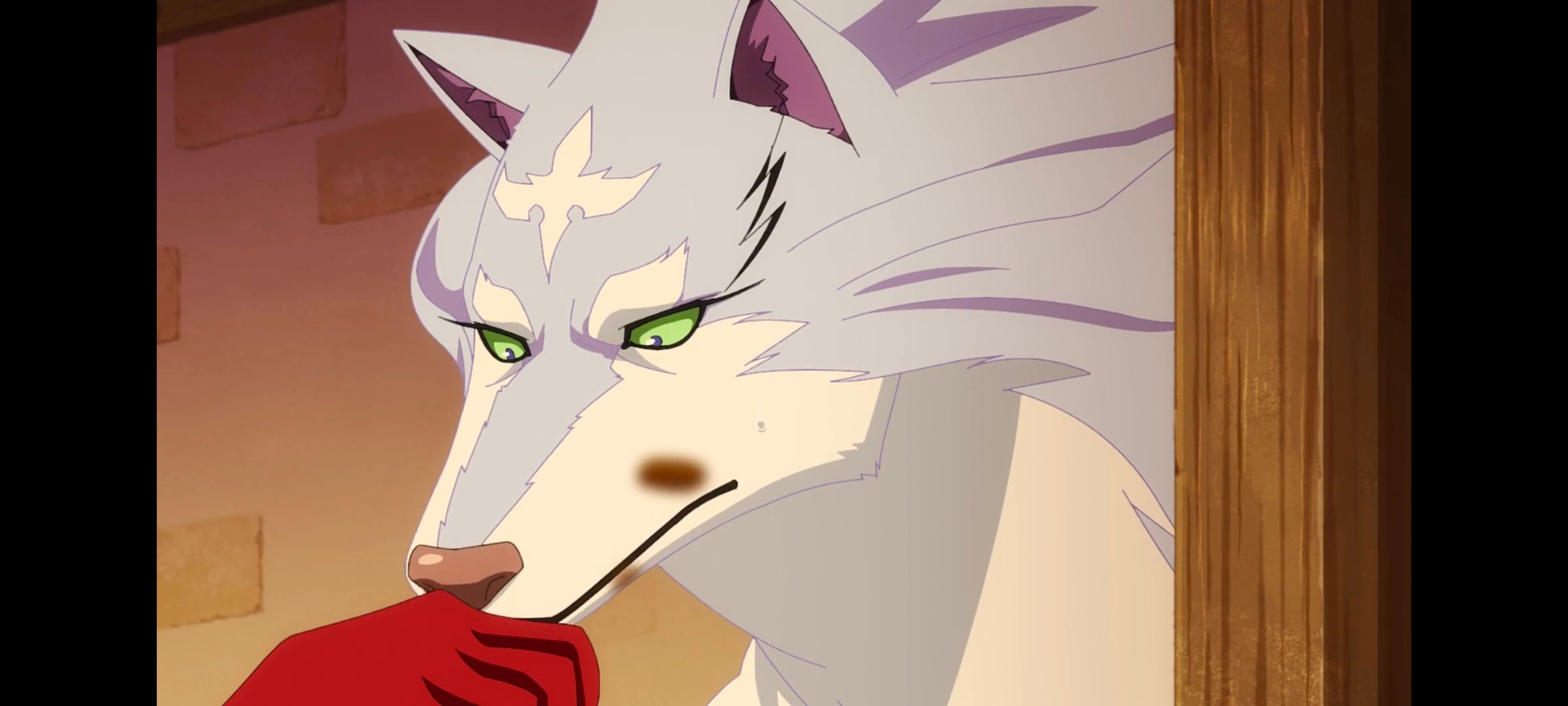 网购技能开启异世界美食之旅,拥有超常技能的异世界流浪美食家,动画,动漫,番剧,ACG