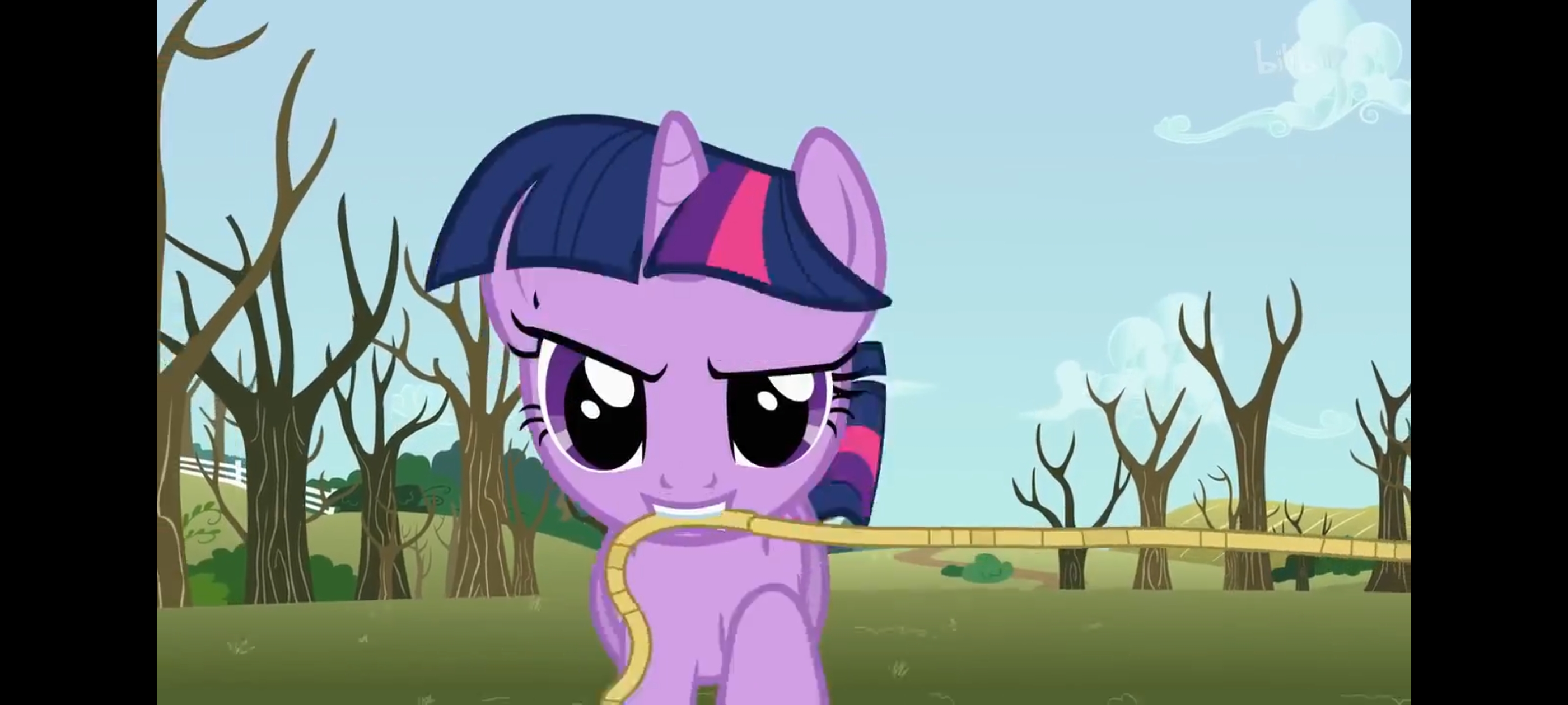 小马宝莉,彩虹小马,我的小马驹,动画,动漫,番剧,二次元,ACG