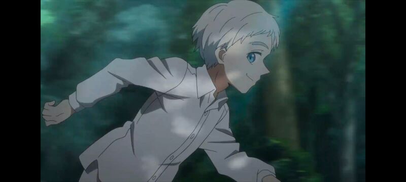 约定的梦幻岛,动画,动漫,番剧,ACG