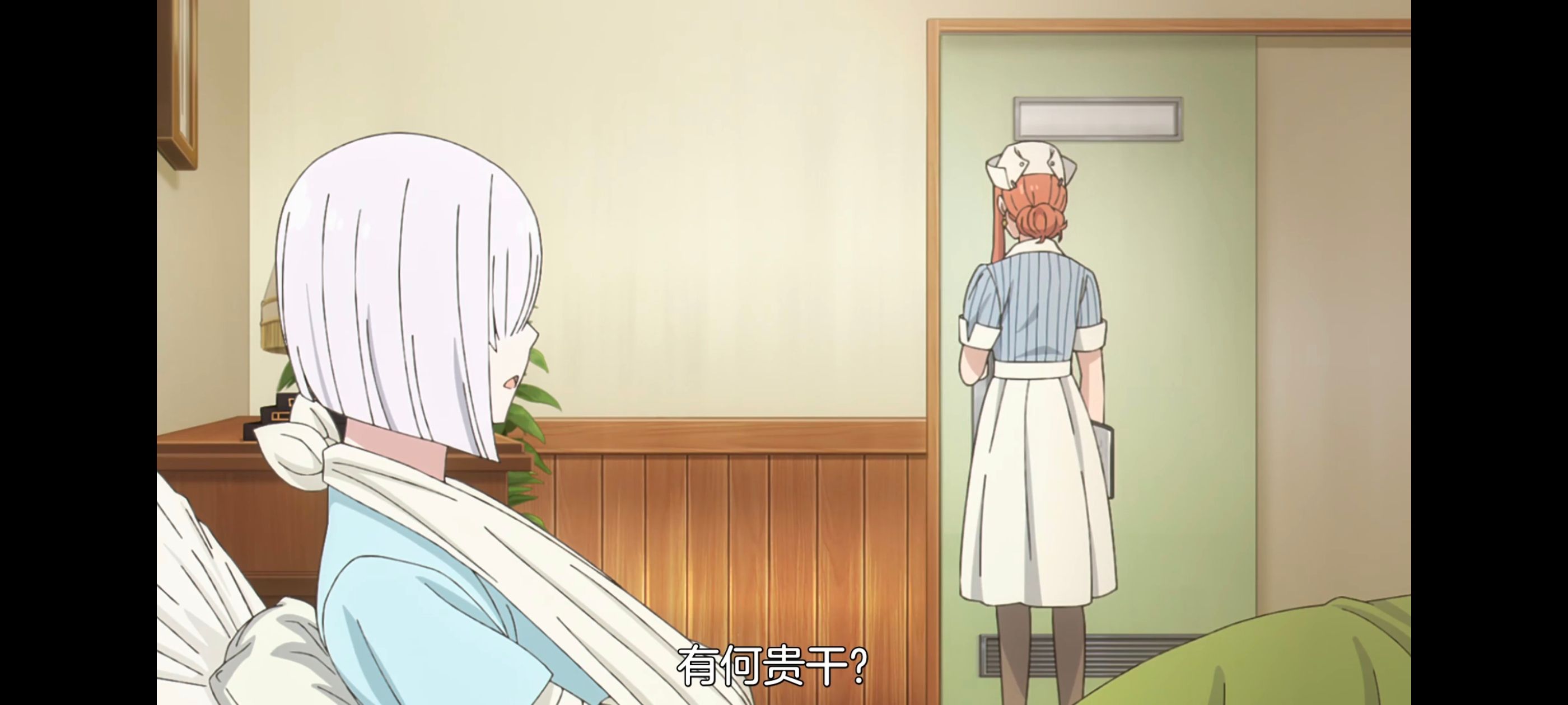 间谍过家家,SPYFAMILY,动画,动漫,番剧,ACG