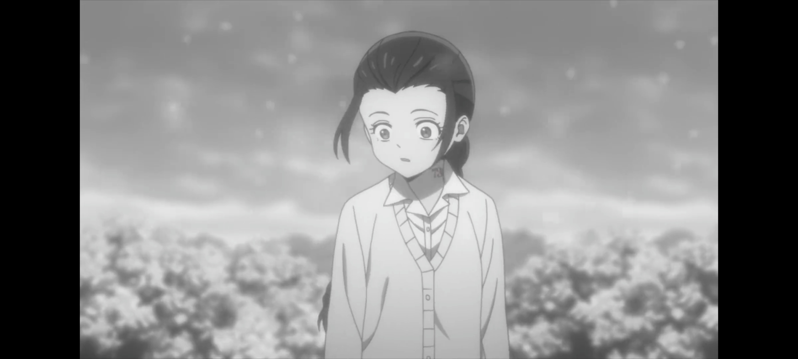 约定的梦幻岛,动画,动漫,番剧,二次元,ACG