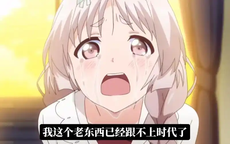 二次元,饭圈,eva,B站,童子军大王,动画