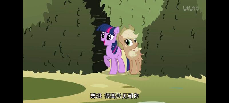 小马宝莉,小马宝莉友谊魔法,彩虹小马,我的小马驹,动画,动漫,番剧,ACG