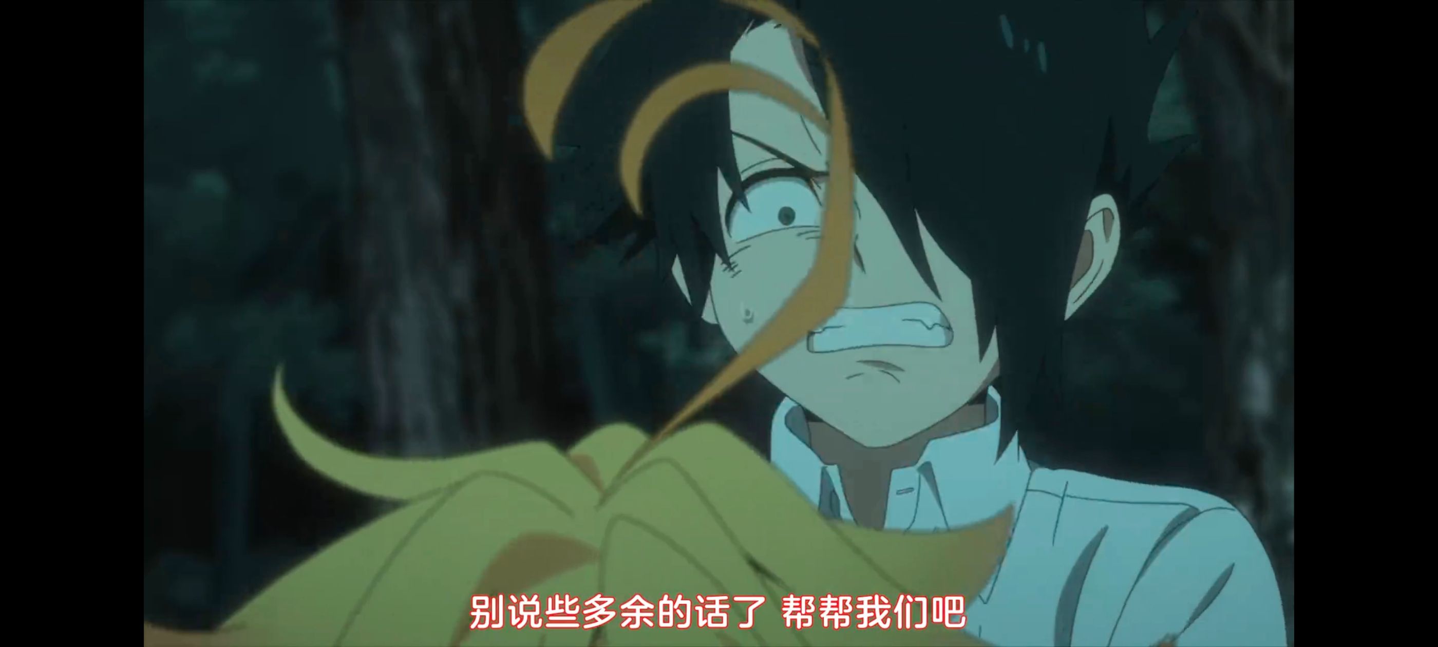 约定的梦幻岛,动画,动漫,番剧,ACG