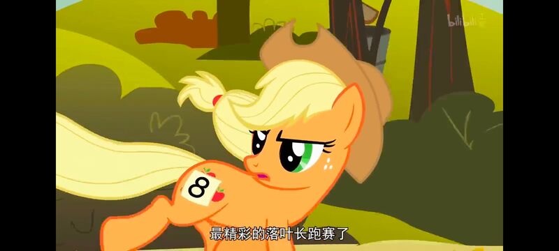 小马宝莉,小马宝莉友谊魔法,彩虹小马,我的小马驹,动画,动漫,番剧,ACG