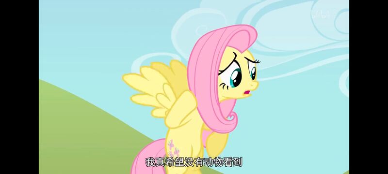 小马宝莉,小马宝莉友谊魔法,彩虹小马,我的小马驹,动画,动漫,番剧,ACG