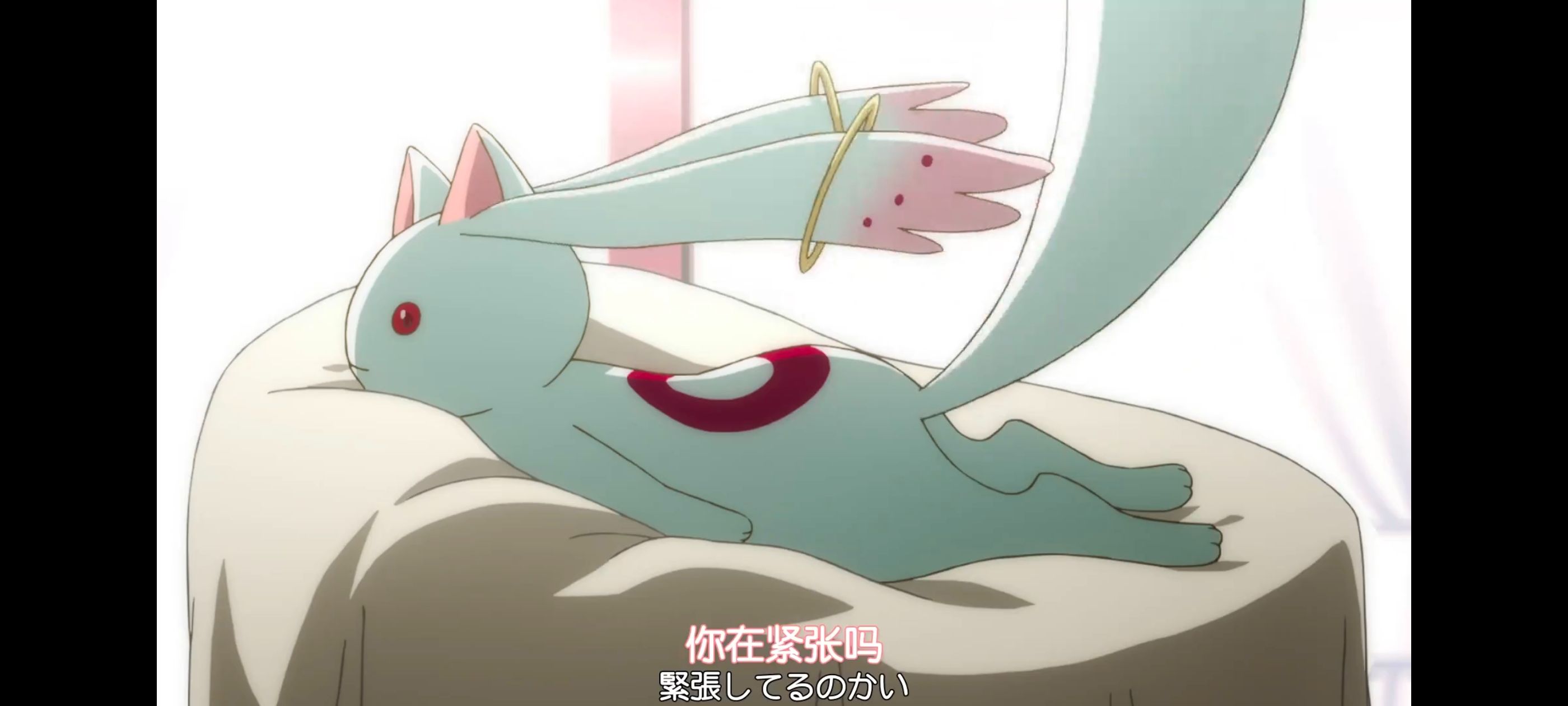 魔法少女小圆,魔法少女,动画,动漫,番剧,ACG