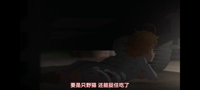 约定的梦幻岛,动画,动漫,番剧,ACG