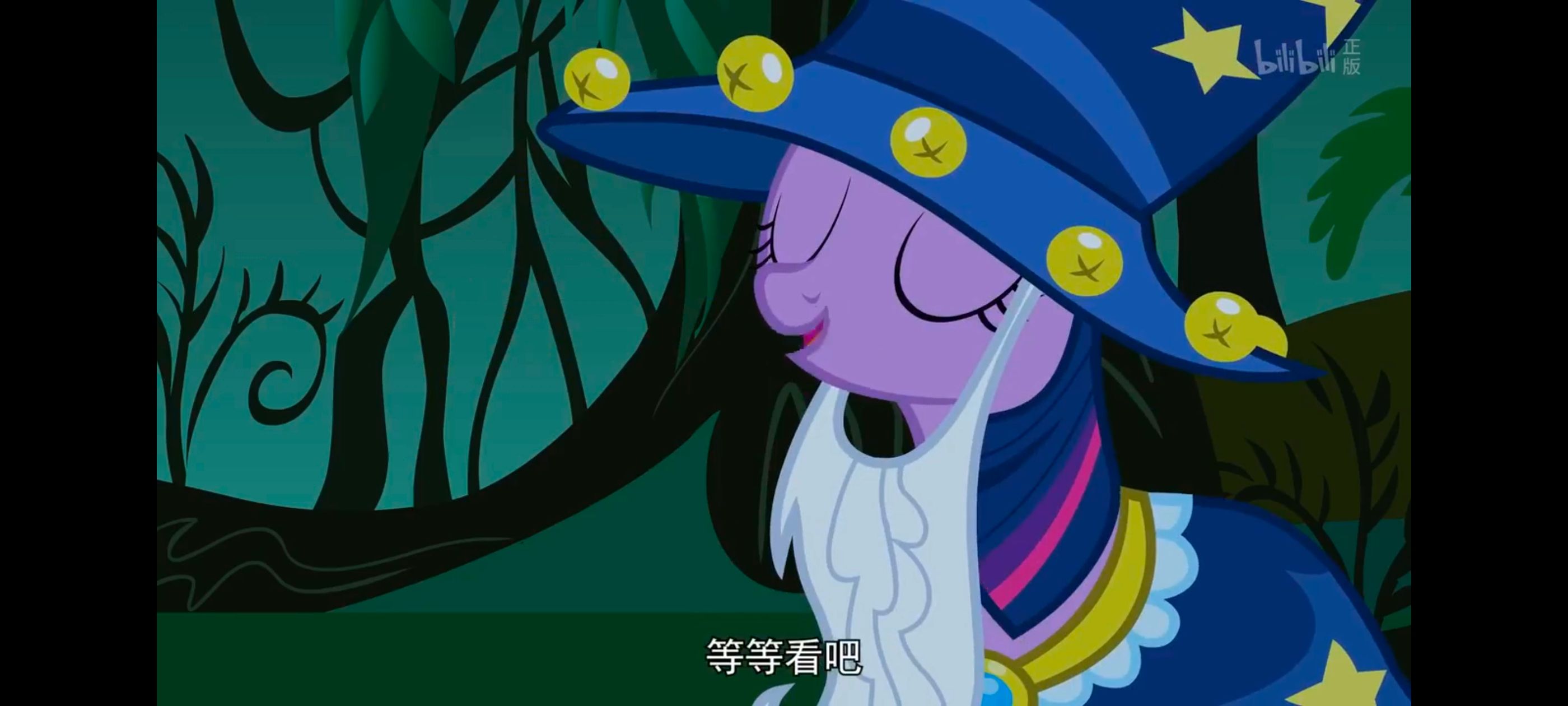 小马宝莉,小马宝莉友谊魔法,彩虹小马,我的小马驹,动漫,动画,番剧,ACG