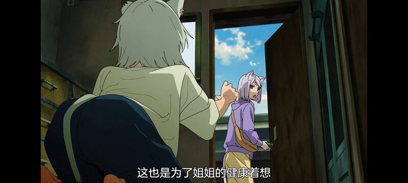 尼古喵喵,雅尼猫,动画,动漫,番剧,日漫,二次元,ACG