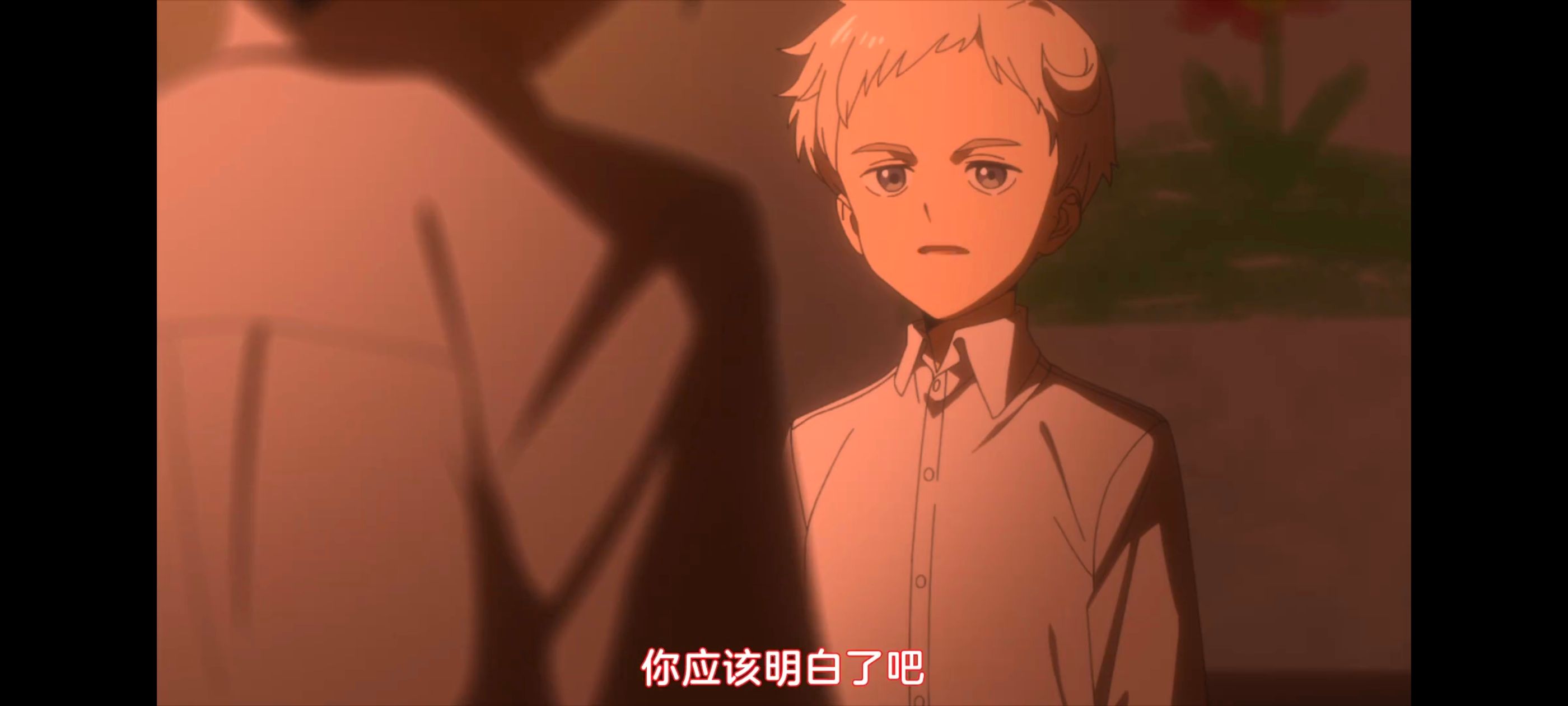 约定的梦幻岛,动画,动漫,番剧,ACG