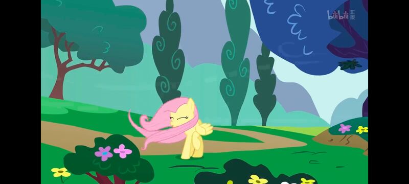 小马宝莉,小马宝莉友谊魔法,彩虹小马,我的小马驹,动画,动漫,番剧,ACG