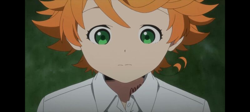 约定的梦幻岛,动画,动漫,番剧,ACG