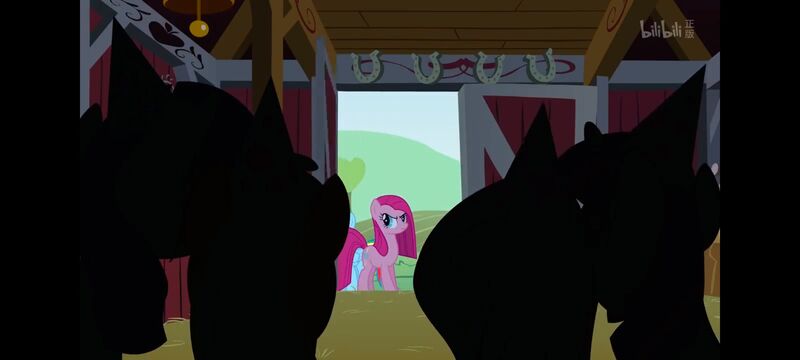 小马宝莉,小马宝莉友谊魔法,彩虹小马,我的小马驹,动画,动漫,番剧,ACG