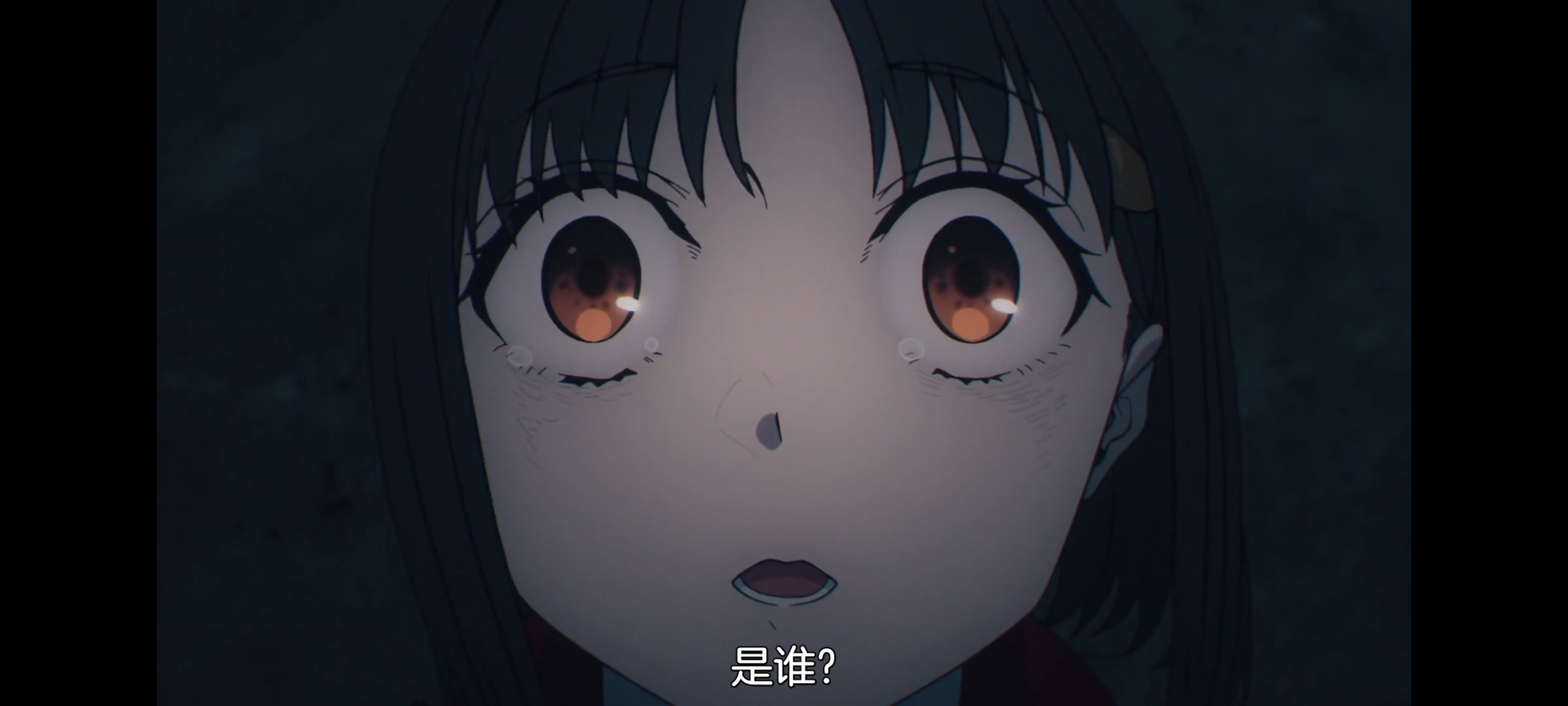 命运奇异赝品,FATE,FatestrangeFake,动画,动漫,番剧,二次元,ACG