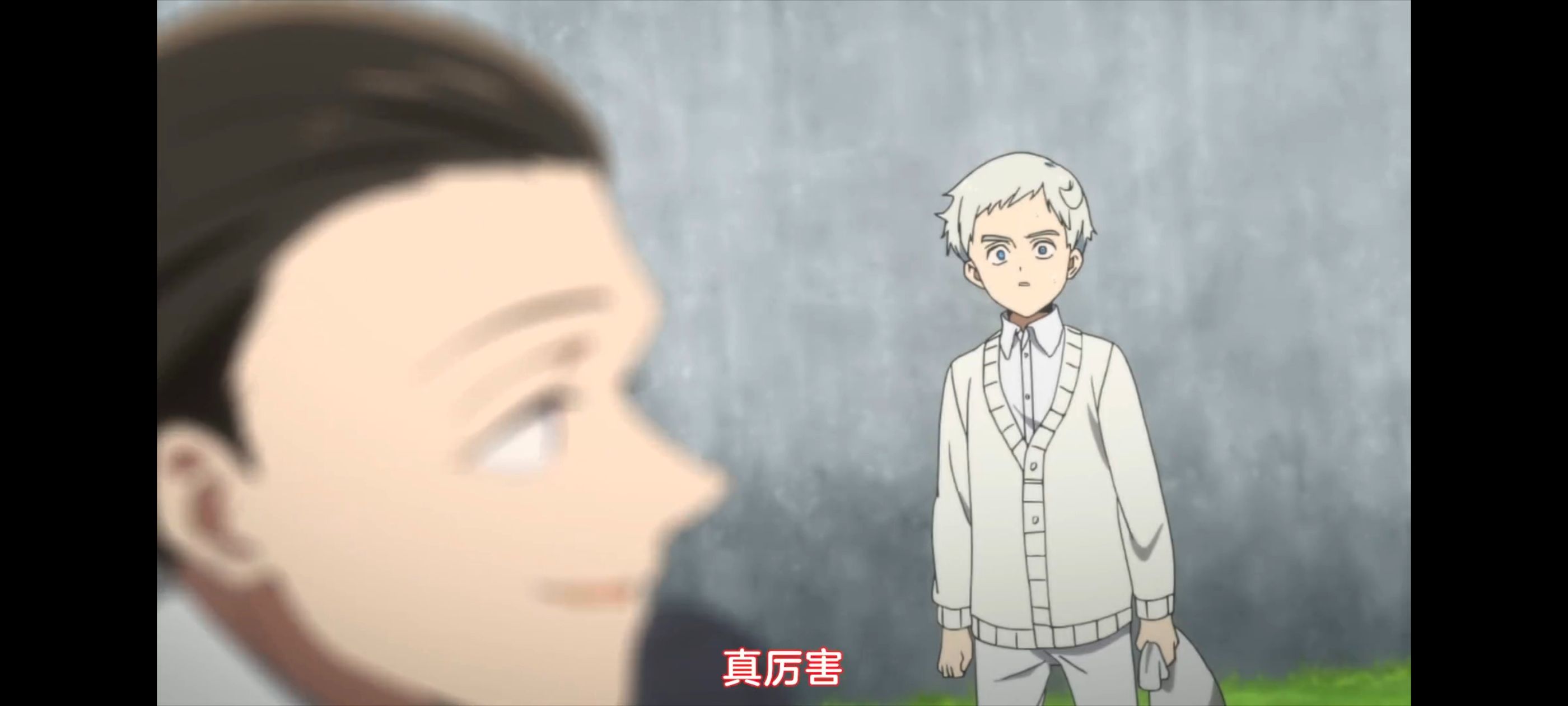 约定的梦幻岛,动画,动漫,番剧,二次元,ACG