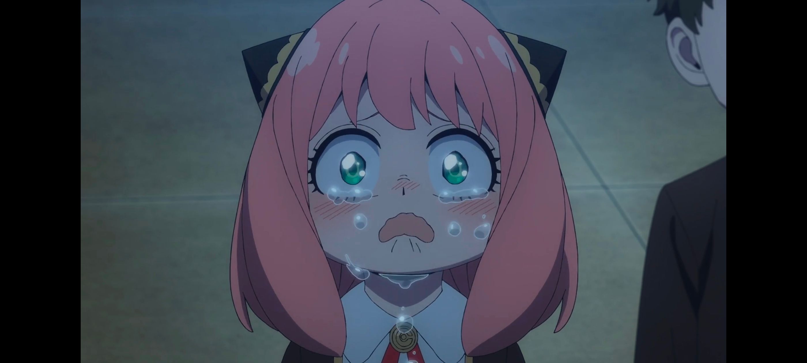 间谍过家家,SPYFAMILY,动画,动漫,番剧,ACG