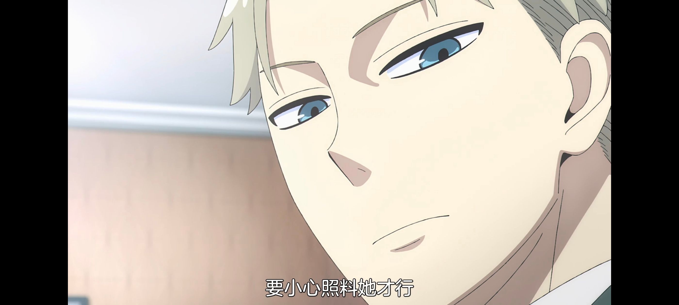 间谍过家家,SPYFAMILY,动画,动漫,番剧,ACG