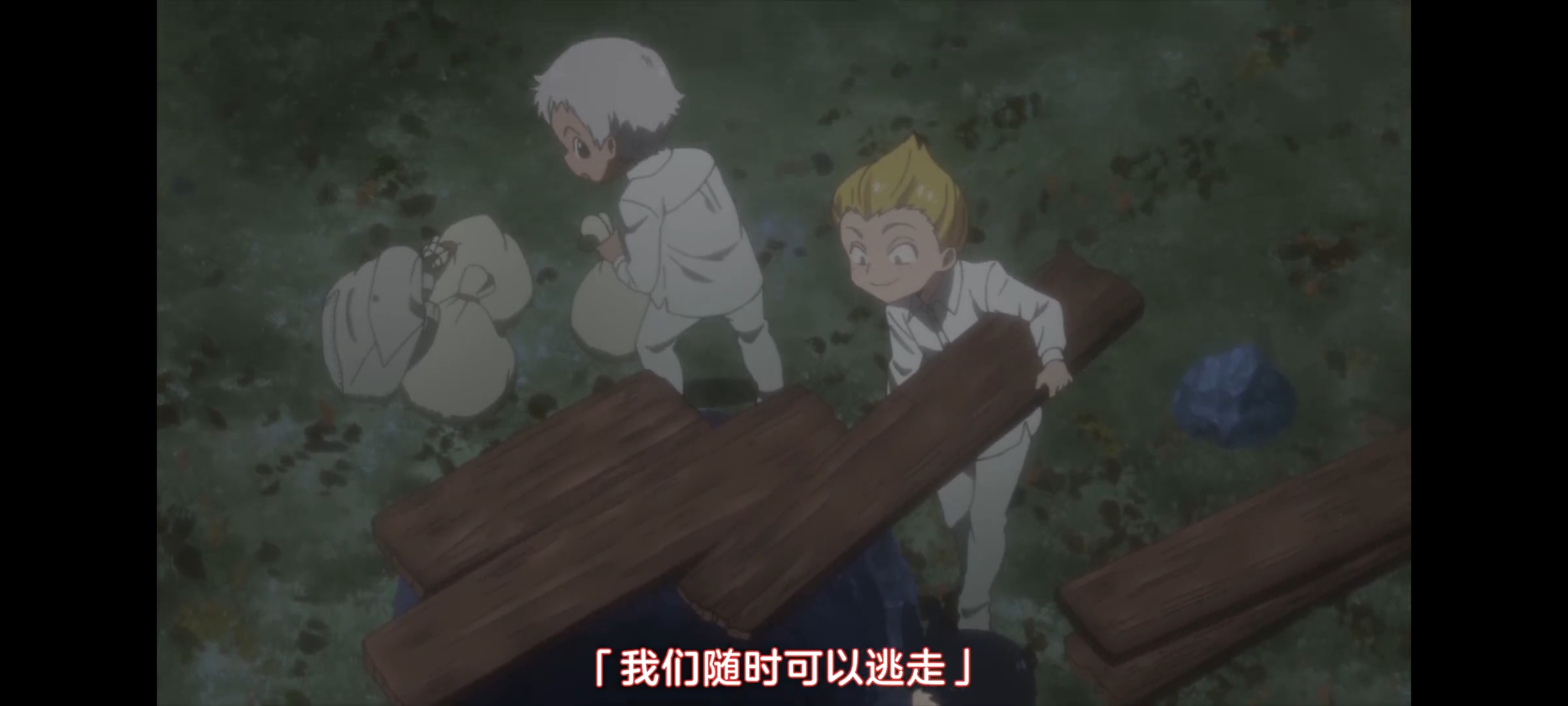 约定的梦幻岛,动画,动漫,番剧,二次元,ACG