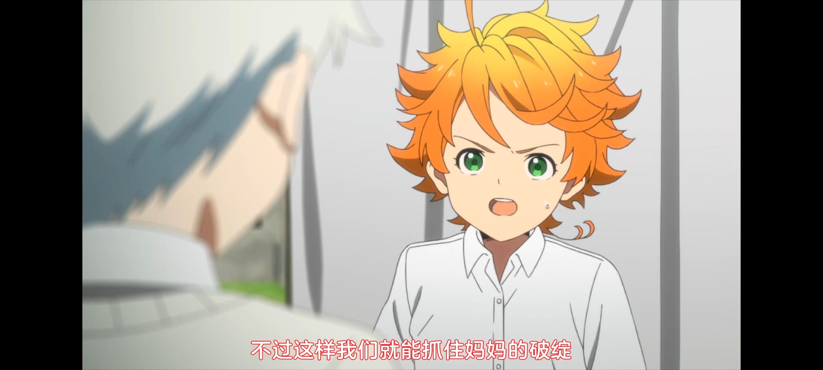 约定的梦幻岛,动画,动漫,番剧,ACG