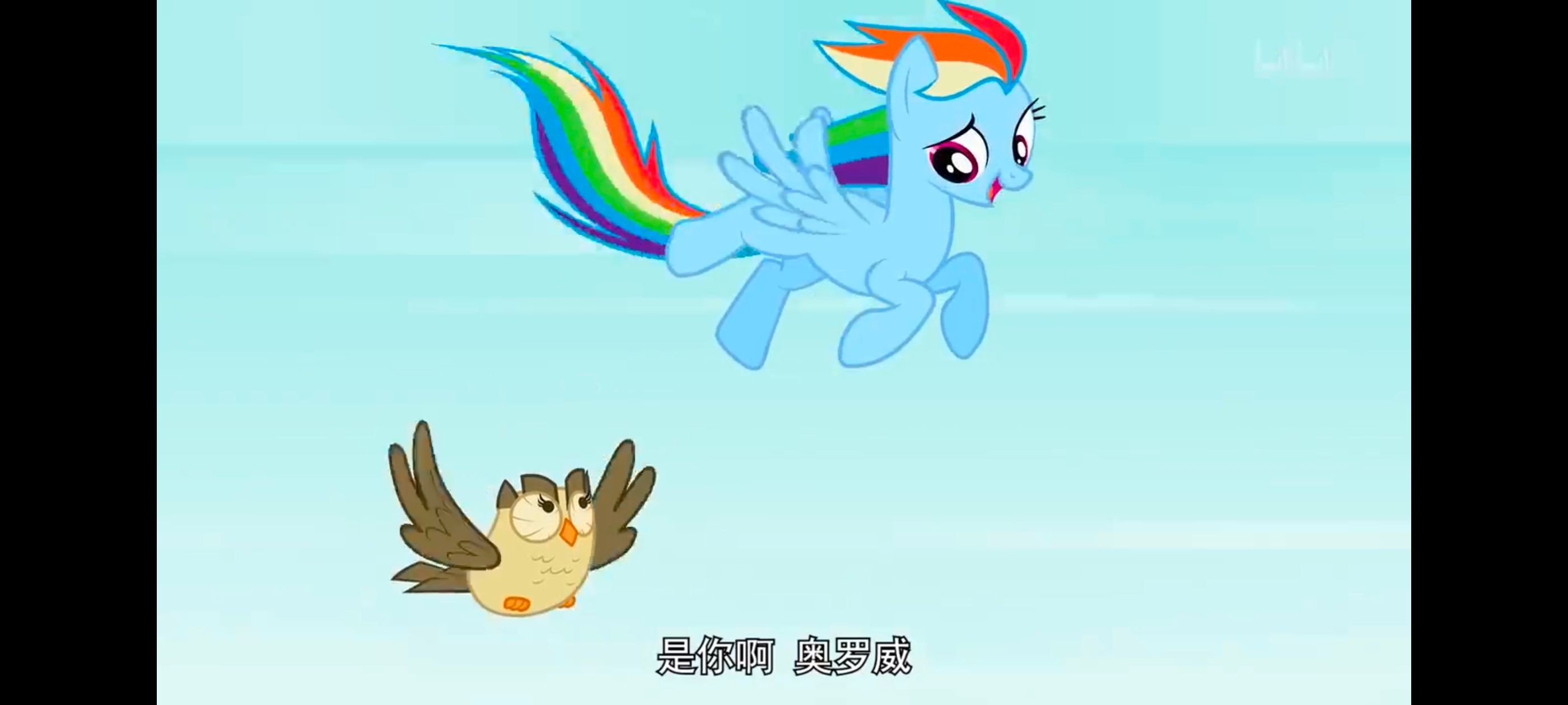 小马宝莉,彩虹小马,我的小马驹,动画,动漫,番剧,二次元,ACG