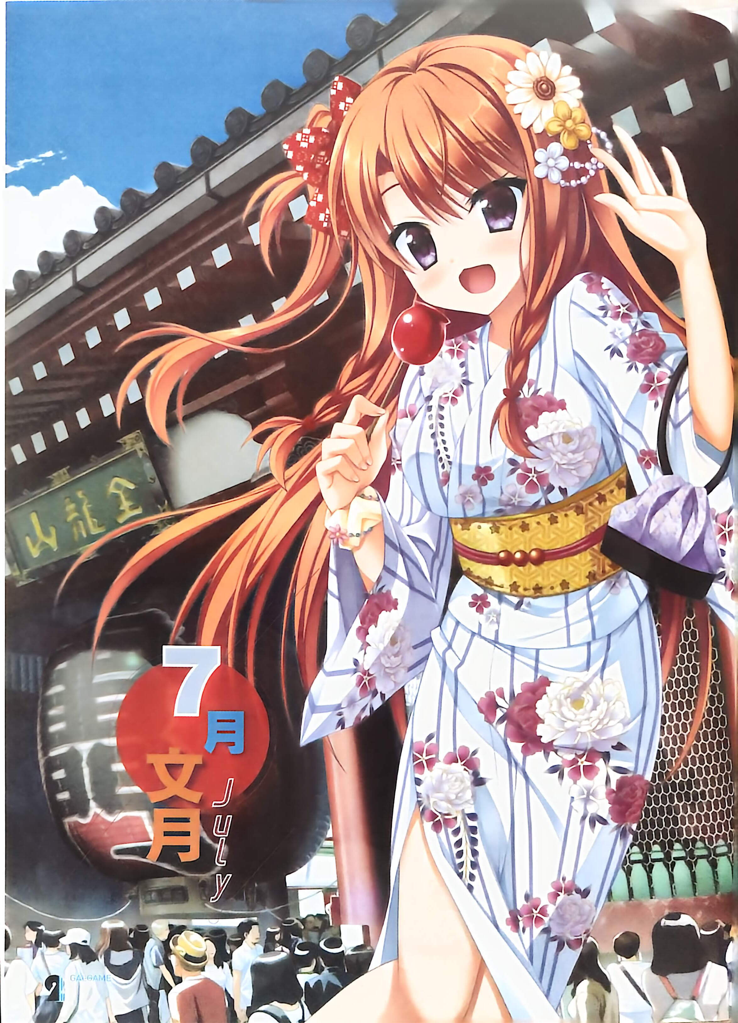 二次元狂热,GALgame,恋爱游戏