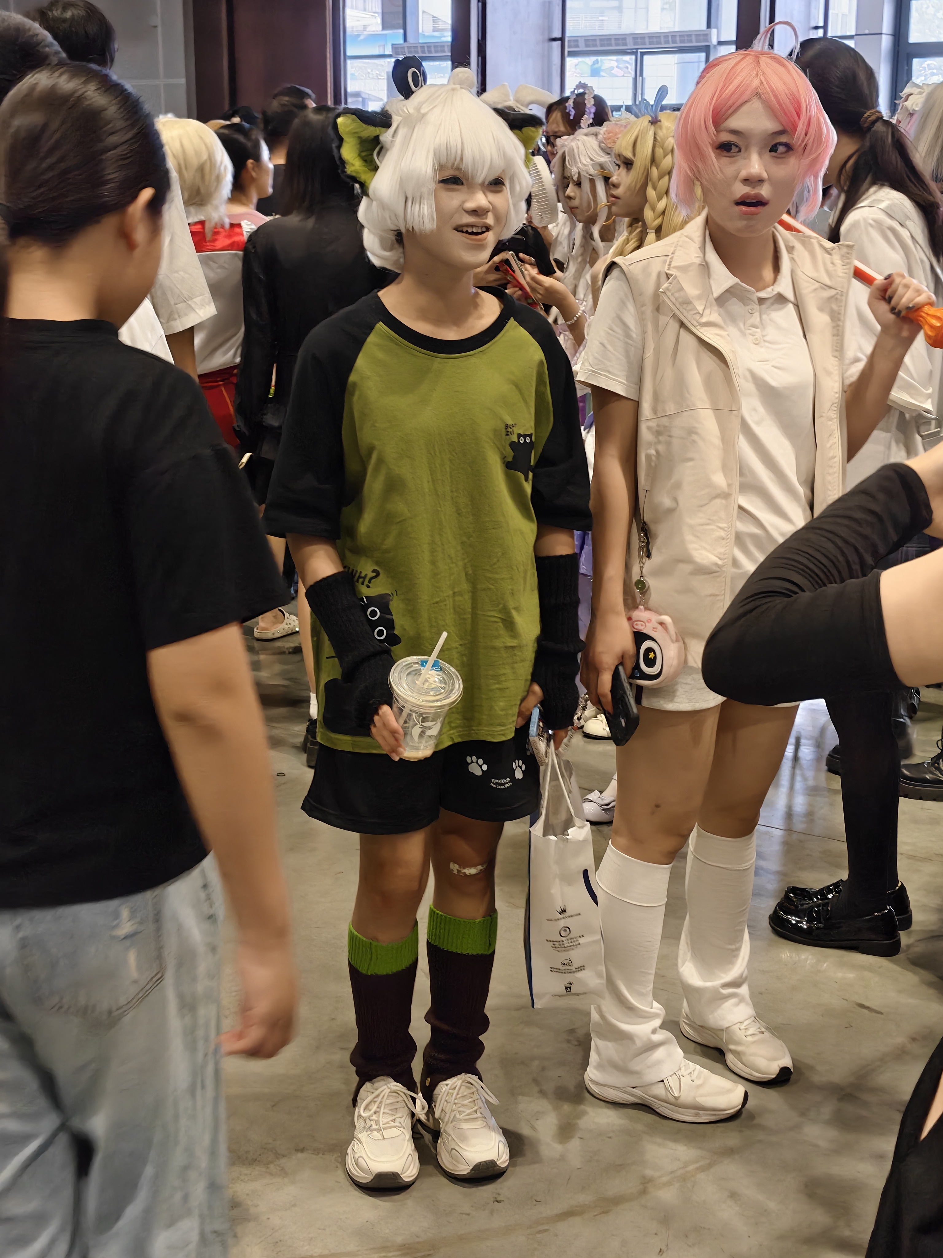 漫展,二次元,东方project,术力口,初音未来,镜音双子,特摄,奥特曼,Minecraft,痛车