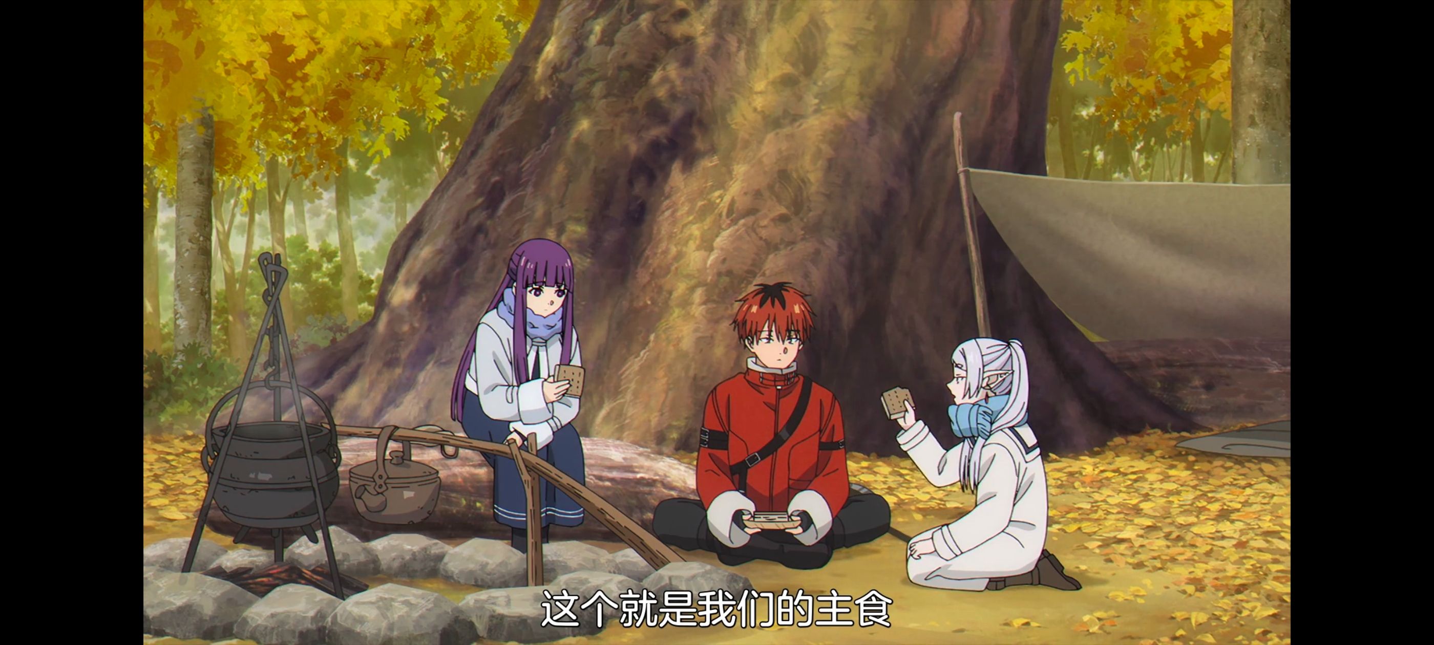 葬送的芙莉莲,动画,动漫,番剧,ACG