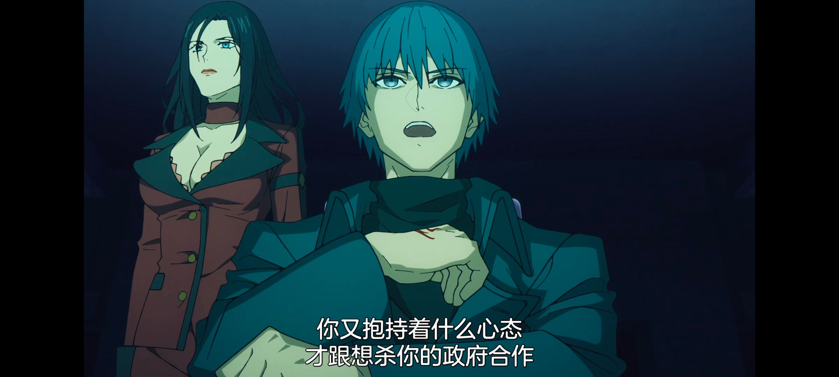 命运奇异赝品,FatestrangeFake,动画,动漫,番剧,ACG