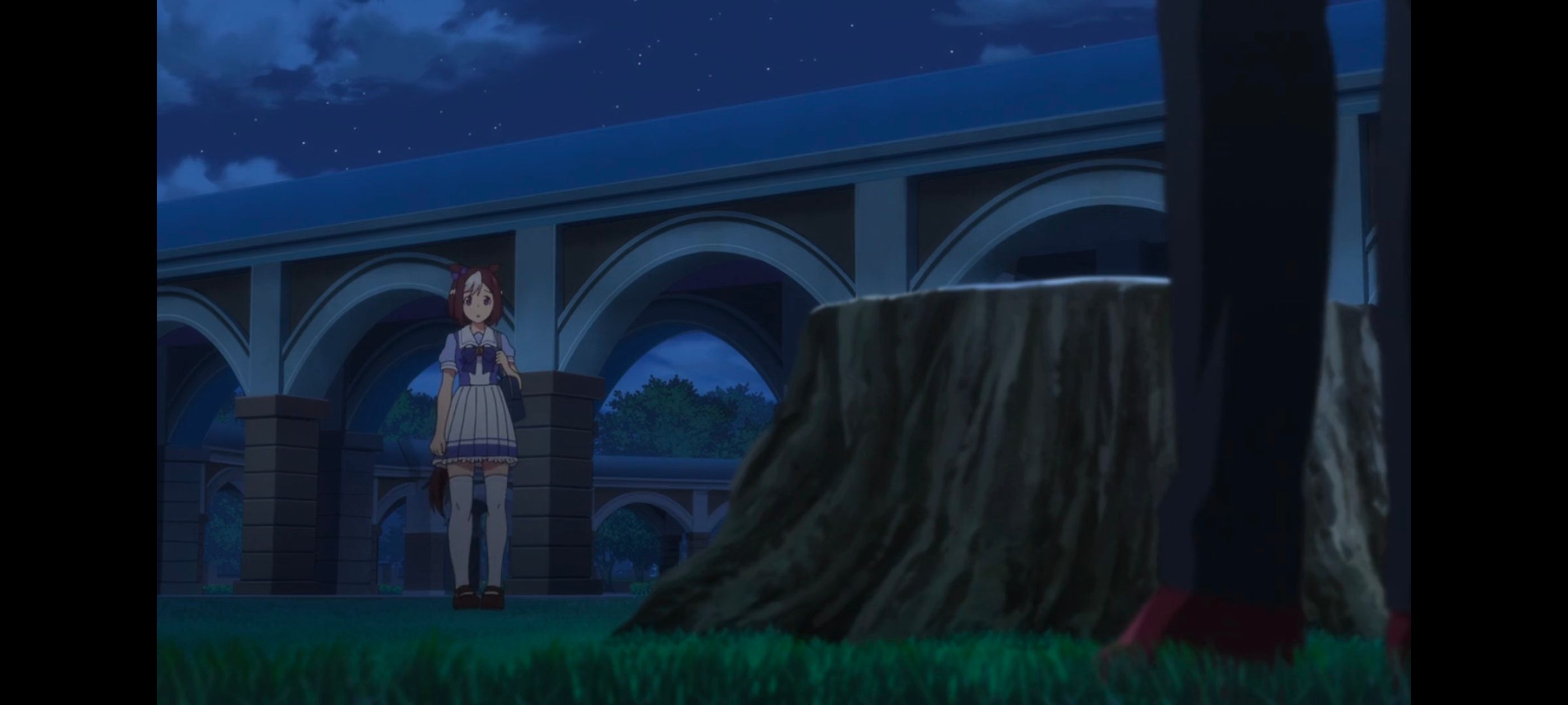 赛马娘,赛马娘PrettyDreby,动画,动漫,番剧,ACG