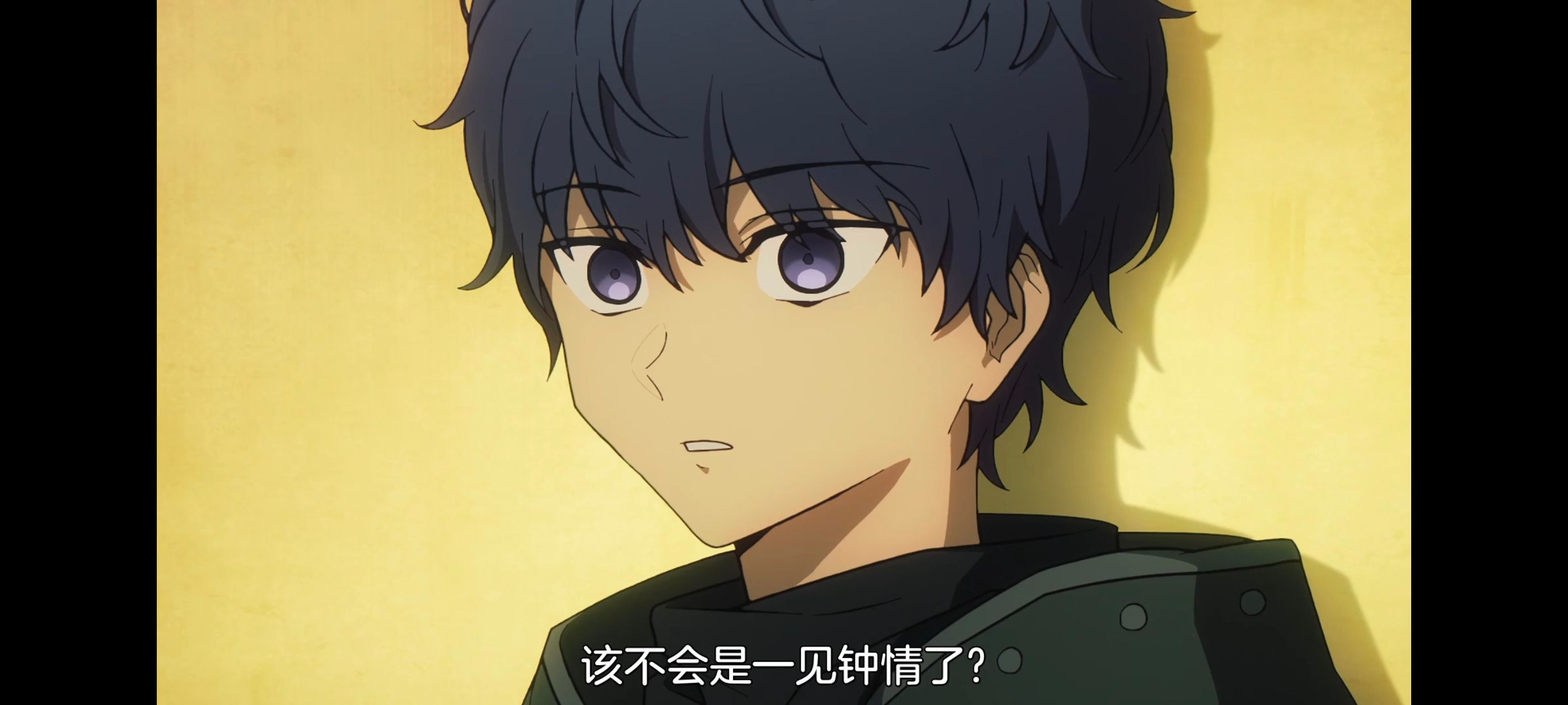 命运奇异赝品,FatestrangeFake,FATE,动画,动漫,番剧,二次元,ACG