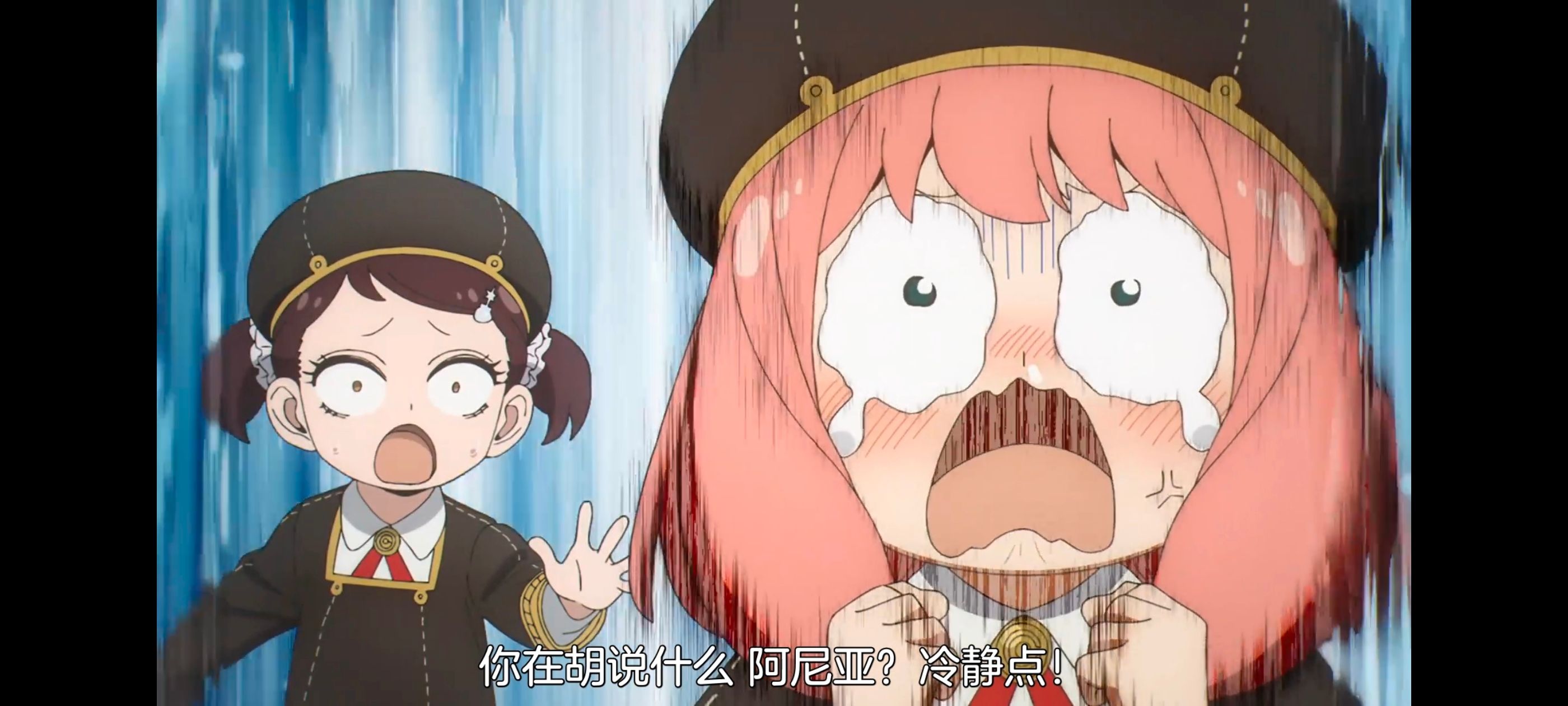 间谍过家家,SPYFAMILY,动画,动漫,番剧,ACG