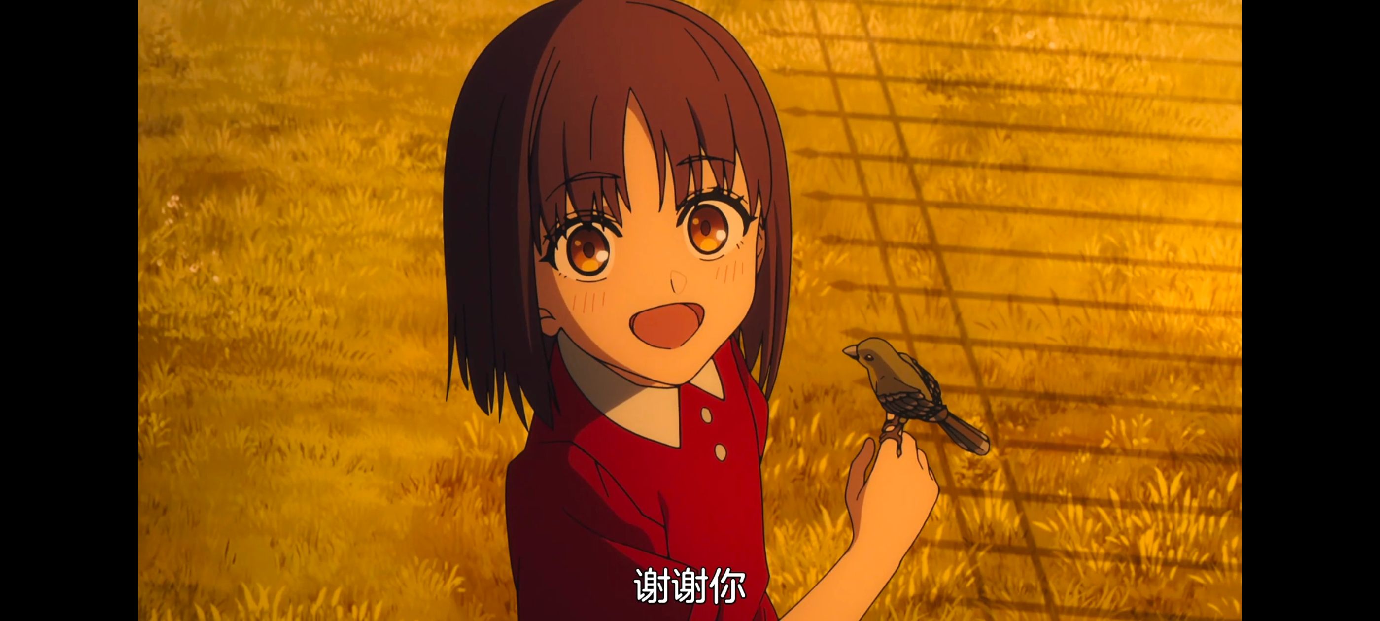 命运奇异赝品,FatestrangeFake,动画,动漫,番剧,ACG