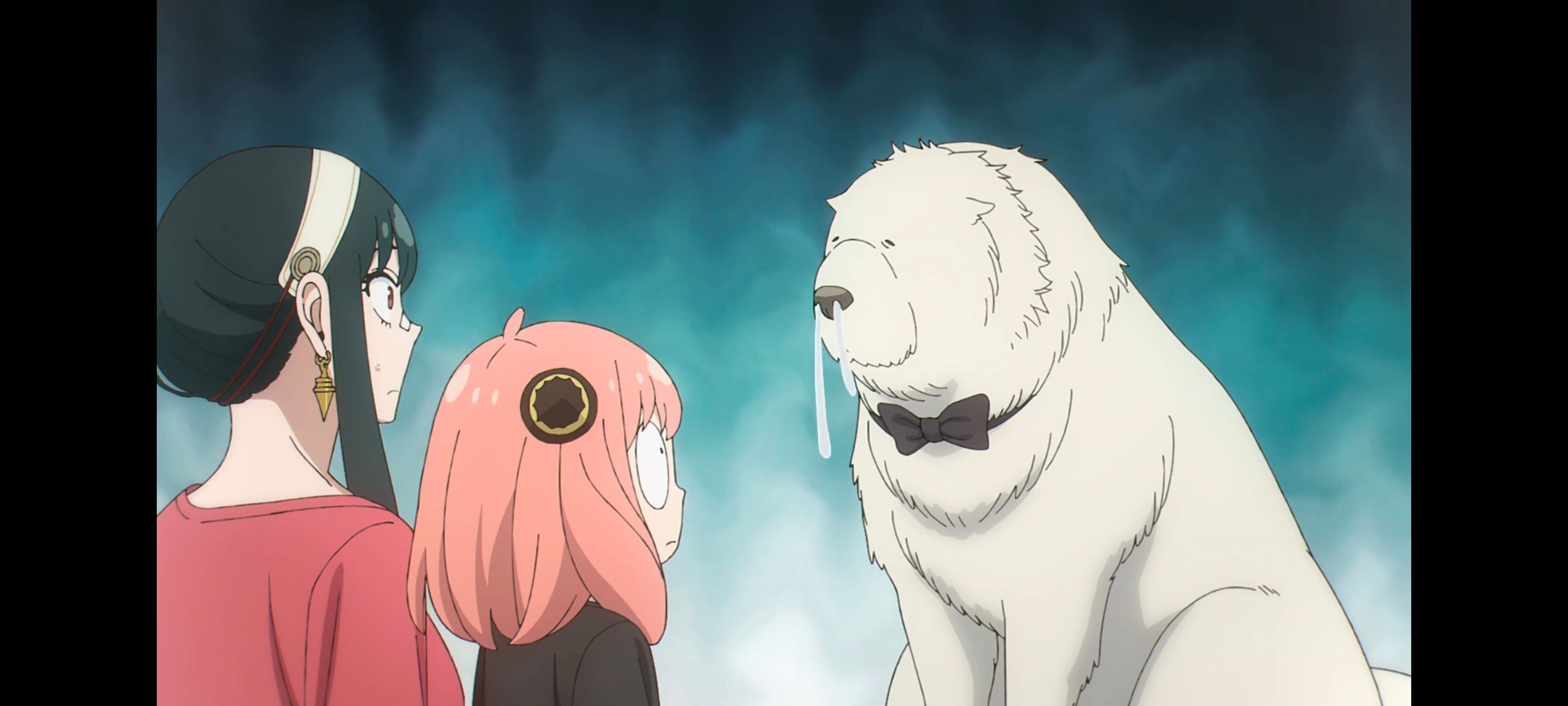 间谍过家家,SPYFAMILY,动画,动漫,番剧,ACG