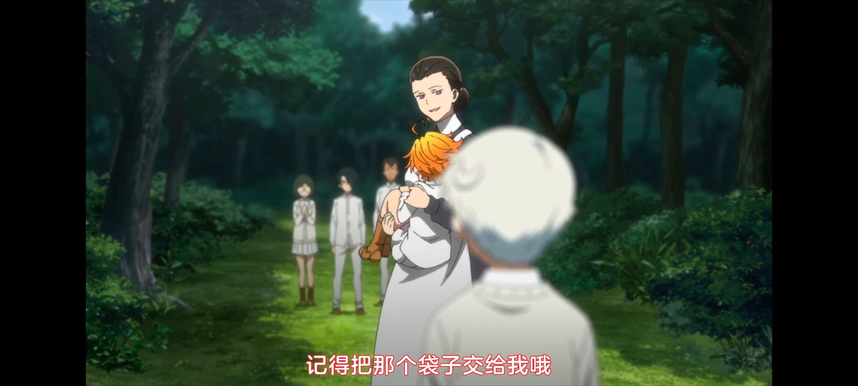 约定的梦幻岛,动画,动漫,番剧,二次元,ACG