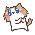 表情包,月薪喵,哈基米,猫meme,猫咪表情包,治愈表情包,温馨表情包