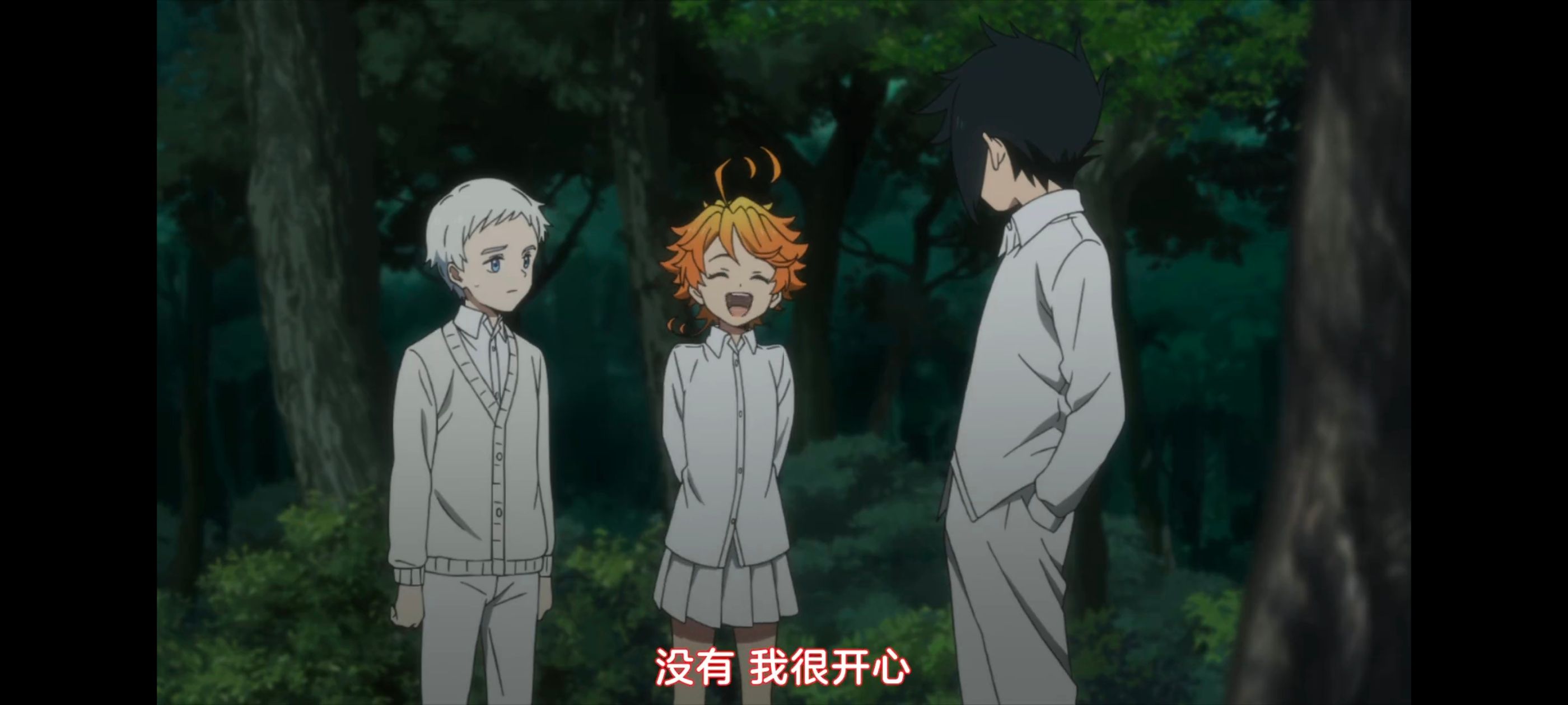 约定的梦幻岛,动画,动漫,番剧,ACG