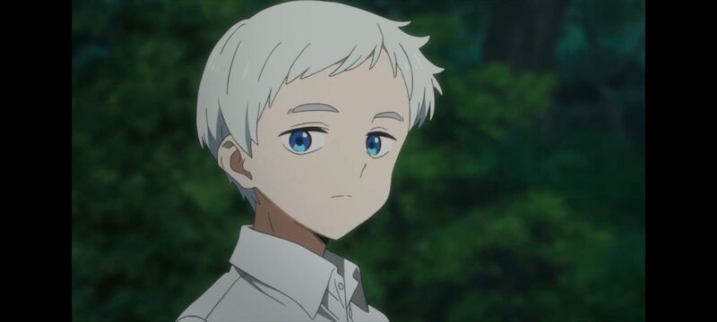 约定的梦幻岛,动画,动漫,番剧,ACG