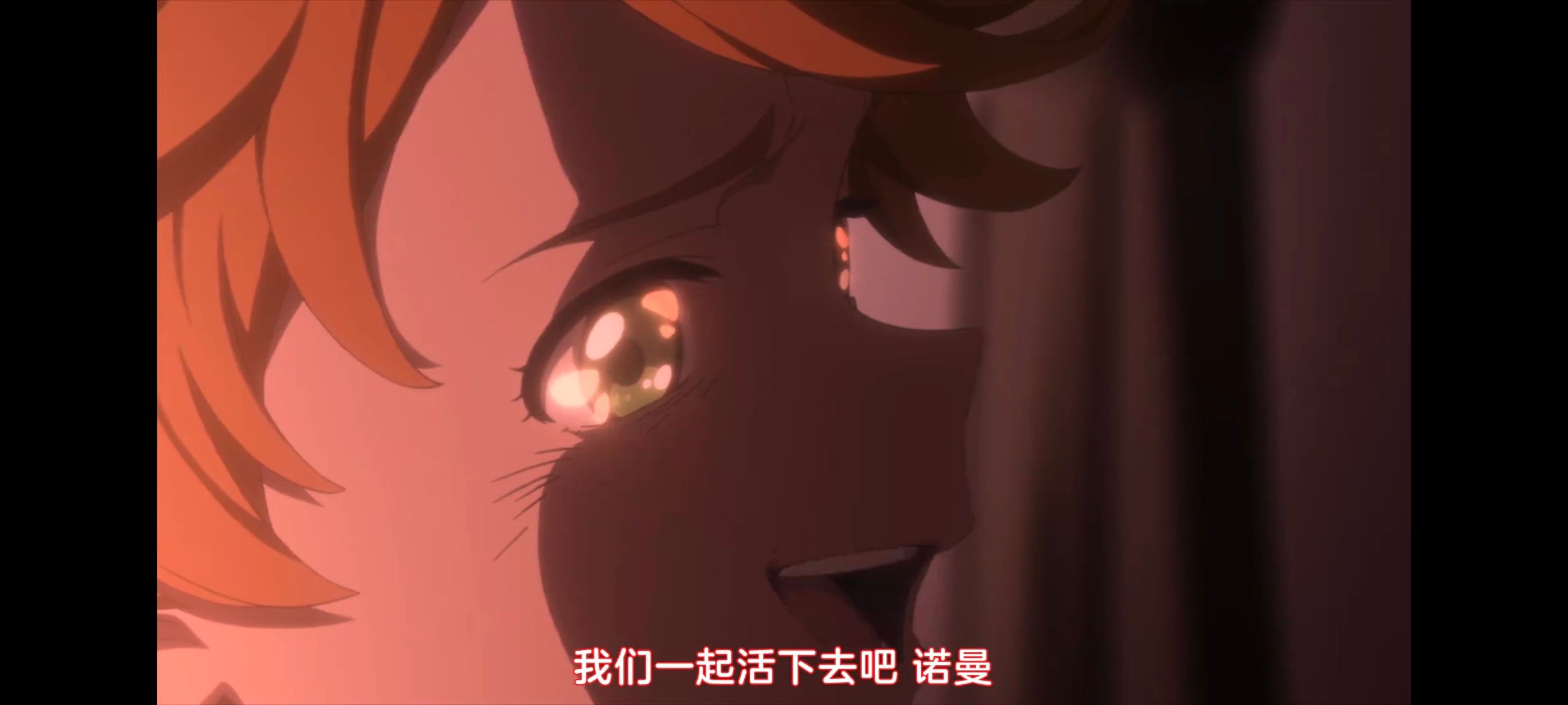 约定的梦幻岛,动画,动漫,番剧,二次元,ACG