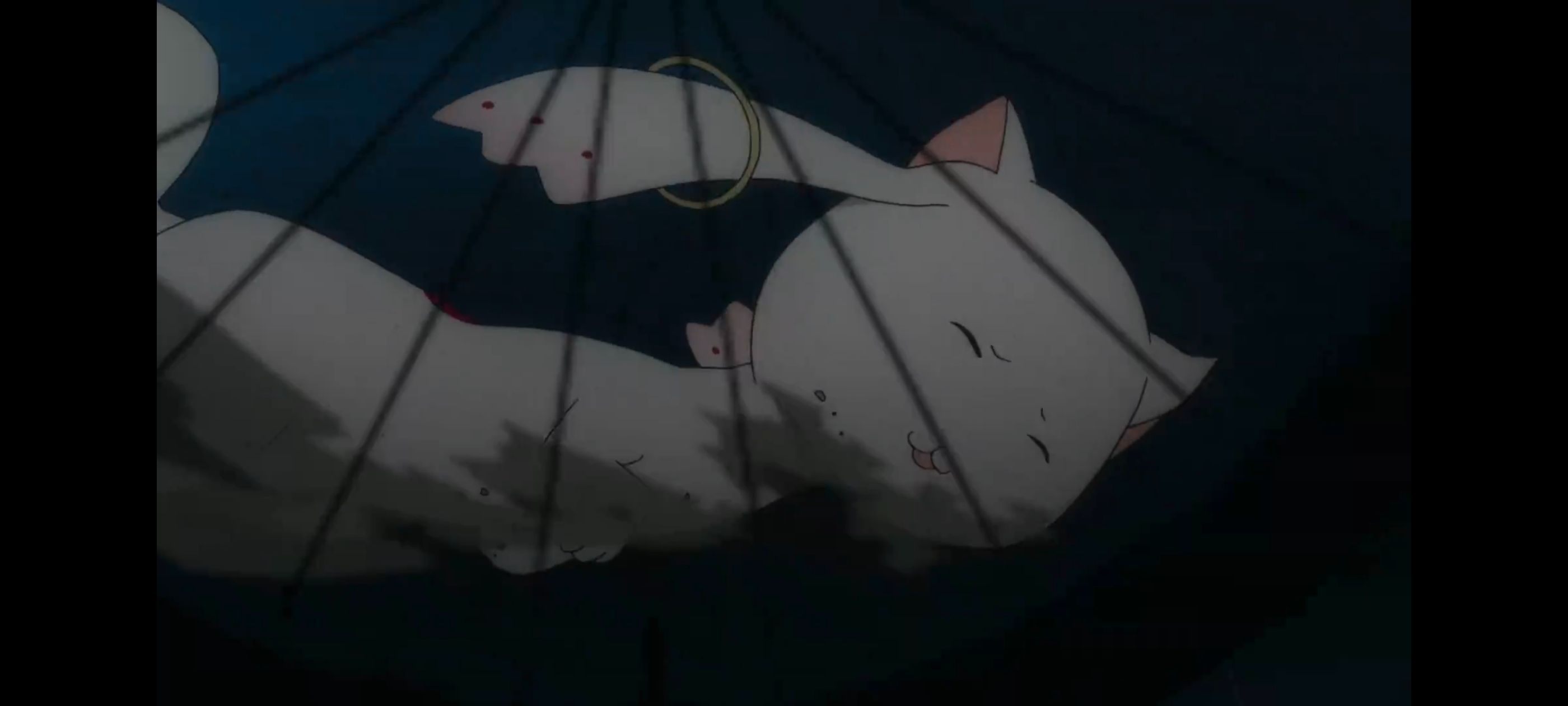 魔法少女小圆,魔法少女,动漫,动画,番剧,ACG