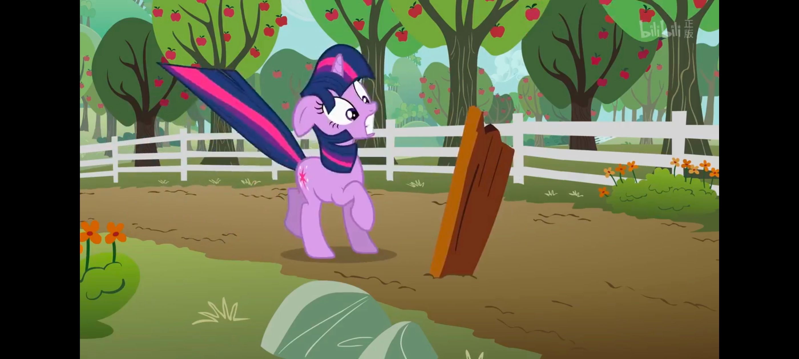 小马宝莉,小马宝莉友谊魔法,彩虹小马,我的小马驹,动画,动漫,番剧,ACG