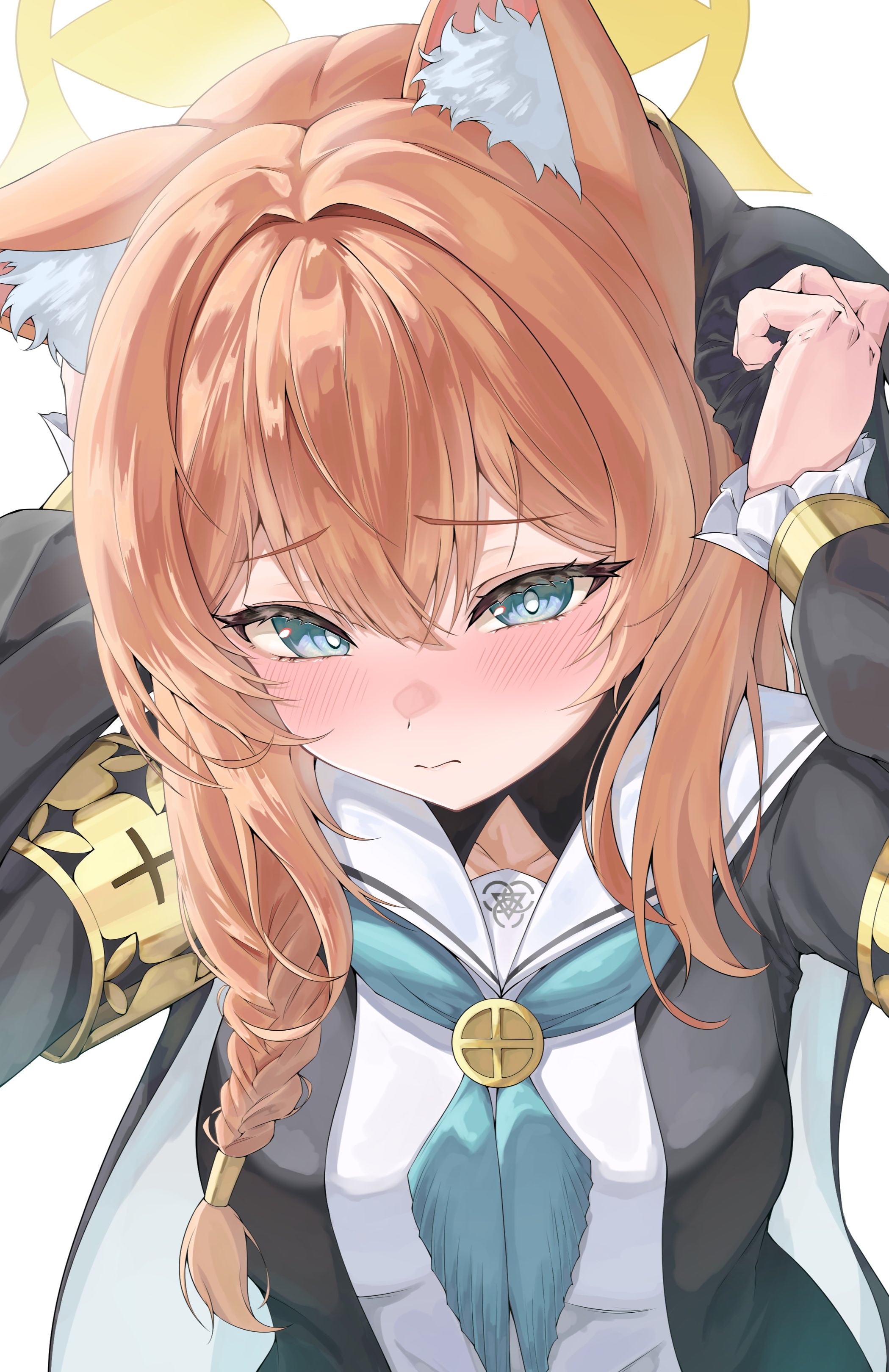 蔚蓝档案,明日方舟,明日方舟终末地,ACG,图集