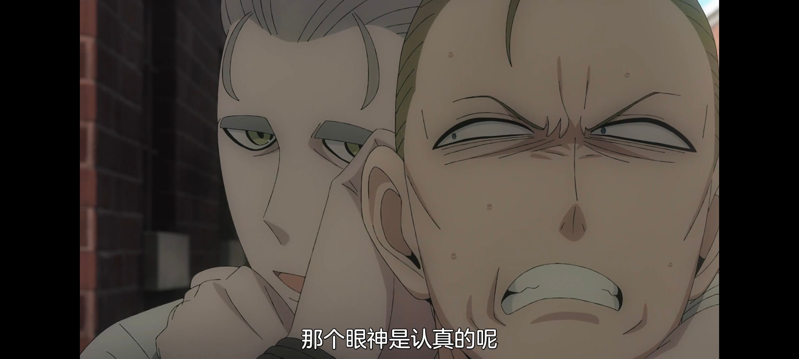 间谍过家家,SPYFAMILY,动画,动漫,番剧,ACG