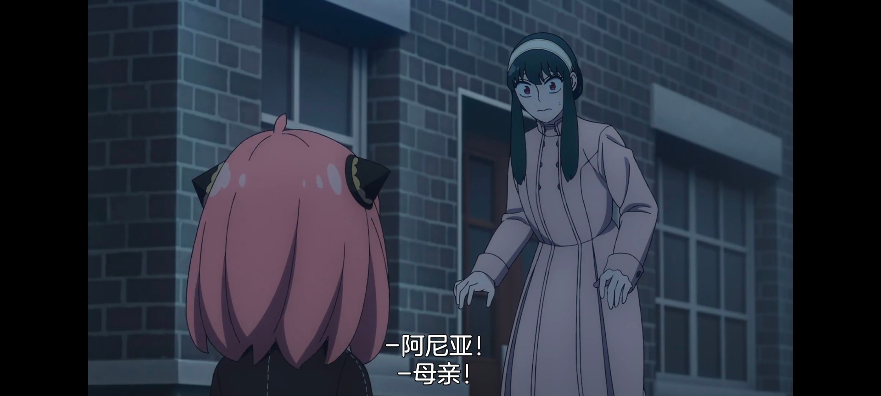 间谍过家家,SPYFAMILY,动画,动漫,番剧,ACG