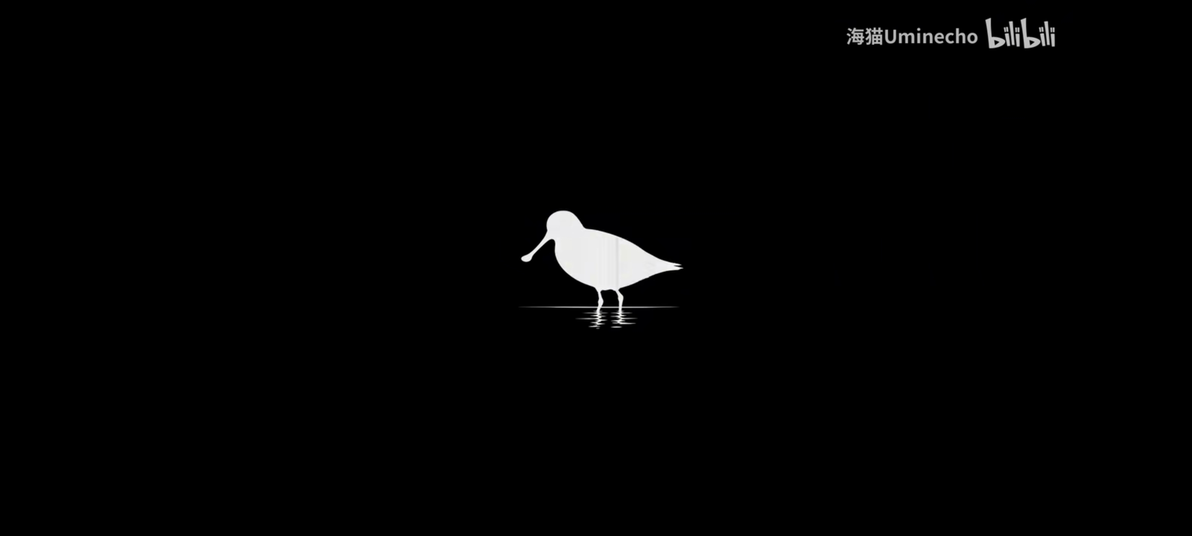 勺嘴鹬,重音teto